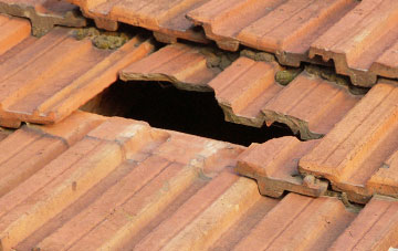 roof repair Butchers Common, Norfolk